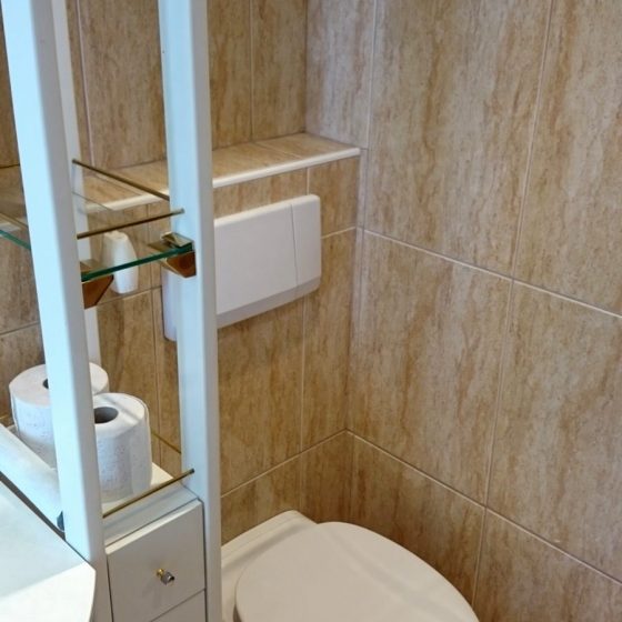 das an einer Vorwandschalung montierte Haenge-WC im Badezimmer wird durch das geschickt platzierte Regal verborgen, gleichzeitig bietet das Regal Stauraum fuer Reserve-Klopapier, Putzmittel... 