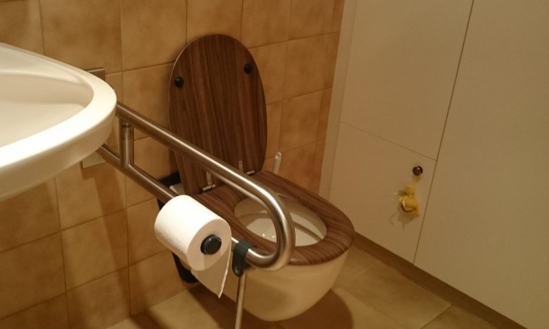 nachträglich montierter Stützklapp-Griff im WC mit Papierrollen-Halter nachträglich montierter Stützklapp-Griff